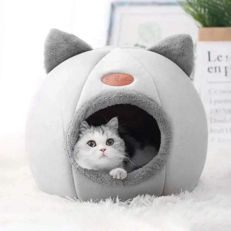 Pourquoi-le-coussin-Cocon-change-les-nuits-de-votre-chien-ou-chat Miaulou