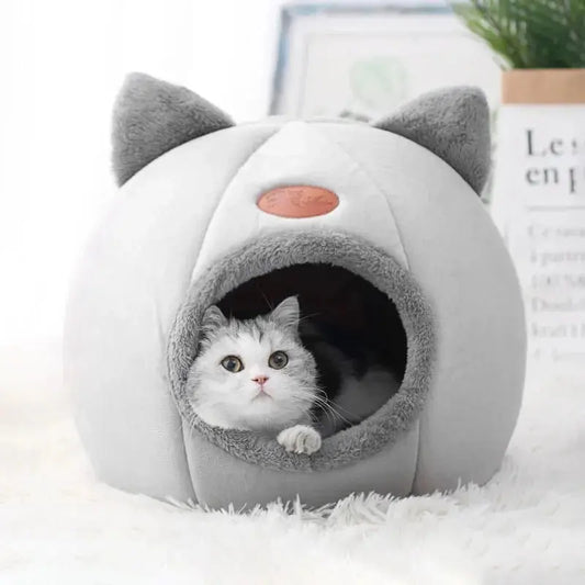 Pourquoi-le-coussin-Cocon-change-les-nuits-de-votre-chien-ou-chat Miaulou