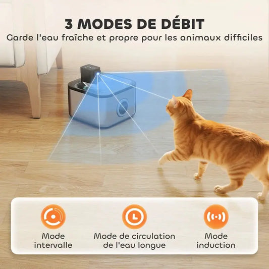 Fontaine Chat Inox Sans Fil 2.5L Miaulou