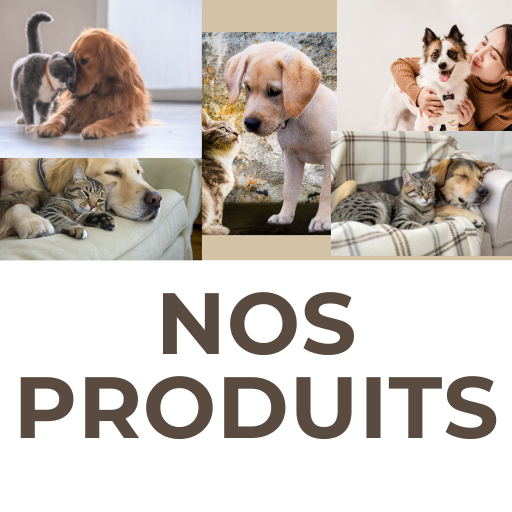 Guide Complet pour Prendre Soin de votre Chat et Chien Miaulou